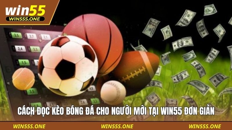 Cách Đọc Kèo Bóng Đá Cho Người Mới Tại Win55 Đơn Giản 6 cách đọc kèo bóng đá cho người mới